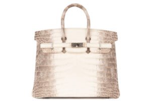 Hermès Birkin 25 Himalaya Blanc Matte Crocodile Palladium Hardware