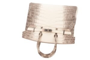Hermès Birkin 25 Himalaya Blanc Matte Crocodile Palladium Hardware - Image 8