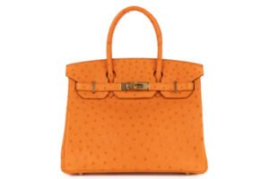 Hermès Birkin 30 Orange H Ostrich Gold Hardware