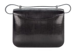Hermès Constance 24 Lizard Niloticus Palladium Hardware - Image 3
