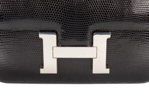 Hermès Constance 24 Lizard Niloticus Palladium Hardware - Image 7