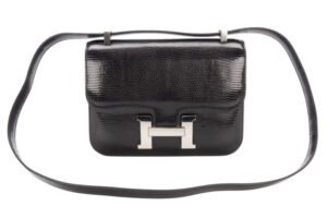 Hermès Constance 24 Lizard Niloticus Palladium Hardware - Image 8