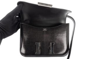 Hermès Constance 24 Lizard Niloticus Palladium Hardware - Image 9
