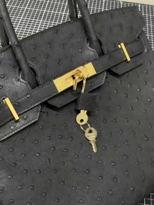 Hermès Birkin 25 in classic Black Ostrich leather with luxurious gold hardware - Image 5