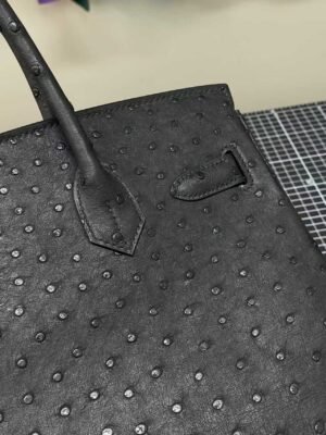 Hermès Birkin 25 in classic Black Ostrich leather with luxurious gold hardware - Image 3