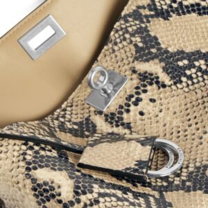 Balenciaga Rodeo Handbag Mini in natural python embossed calfskin, aged-silver hardware - Image 7
