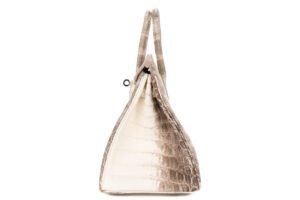 Hermès Birkin 25 Himalaya Blanc Matte Crocodile Palladium Hardware - Image 5