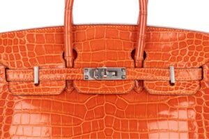 Hermès Birkin 25 Pain D’épices Shiny Crocodile Porosus Palladium Hardware - Image 8