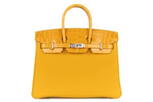 Hermès Birkin 25 Touch Jaune Ambre / Togo Shiny Crocodile Niloticus Palladium Hardware