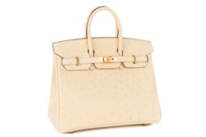 Hermès Birkin 25 Vanille Ostrich Gold Hardware - Image 3