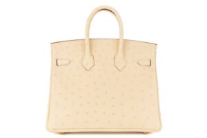 Hermès Birkin 25 Vanille Ostrich Gold Hardware - Image 4