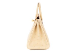 Hermès Birkin 25 Vanille Ostrich Gold Hardware - Image 5
