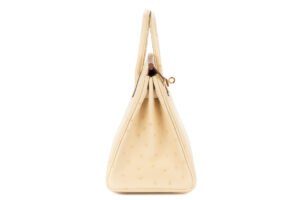 Hermès Birkin 25 Vanille Ostrich Gold Hardware - Image 6