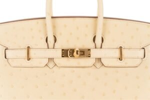 Hermès Birkin 25 Vanille Ostrich Gold Hardware - Image 8