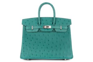 Hermès Birkin 25 Vert Verone Ostrich Palladium Hardware