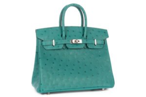 Hermès Birkin 25 Vert Verone Ostrich Palladium Hardware - Image 3