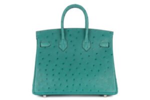 Hermès Birkin 25 Vert Verone Ostrich Palladium Hardware - Image 4