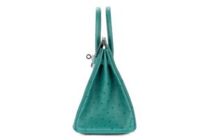 Hermès Birkin 25 Vert Verone Ostrich Palladium Hardware - Image 5
