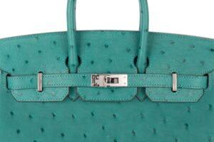 Hermès Birkin 25 Vert Verone Ostrich Palladium Hardware - Image 7