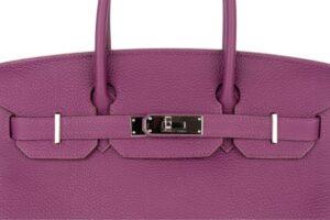 Hermès Birkin 30 Anemone Togo Palladium Hardware - Image 7