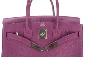 Hermès Birkin 30 Anemone Togo Palladium Hardware - Image 8