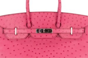 Hermès Birkin 35 Fushsia Ostrich Palladium Hardware - Image 8