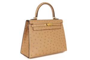 Hermès Kelly 25 Chai Ostrich Gold Hardware - Image 3