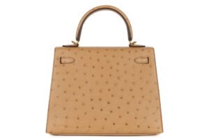 Hermès Kelly 25 Chai Ostrich Gold Hardware - Image 4