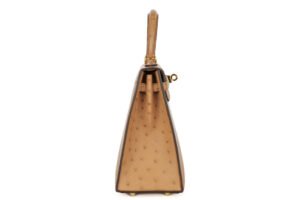 Hermès Kelly 25 Chai Ostrich Gold Hardware - Image 6