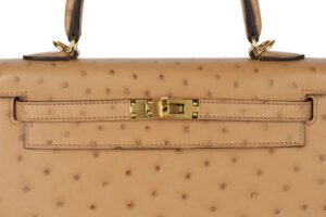 Hermès Kelly 25 Chai Ostrich Gold Hardware - Image 8