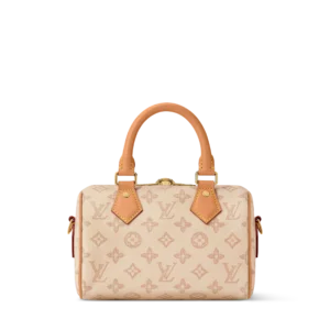 Louis Vuitton Speedy 20 Monogram Canvas Beige - Image 4