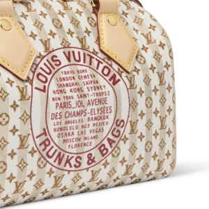 Louis Vuitton x Takashi Murakami Multicolore Monogram Hobo Bag - Image 4